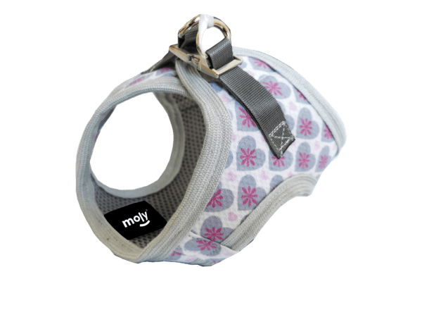 import placeholder for 689