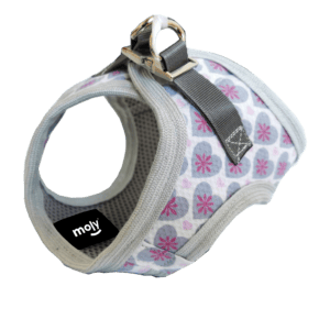 frontpro comprimidos antiparasitarios perros 2 4 kg