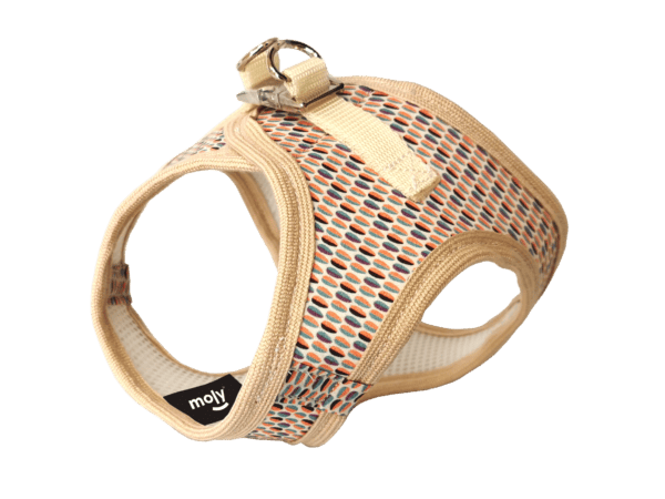 import placeholder for 685