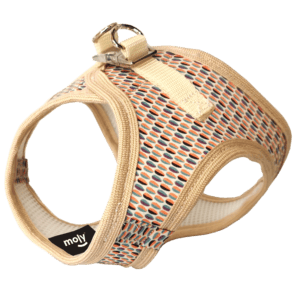 import placeholder for 683