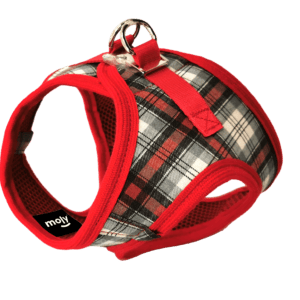 import placeholder for 681