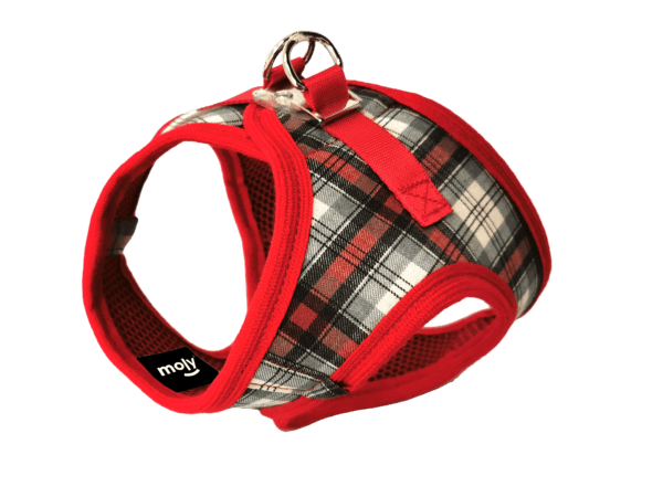 import placeholder for 680