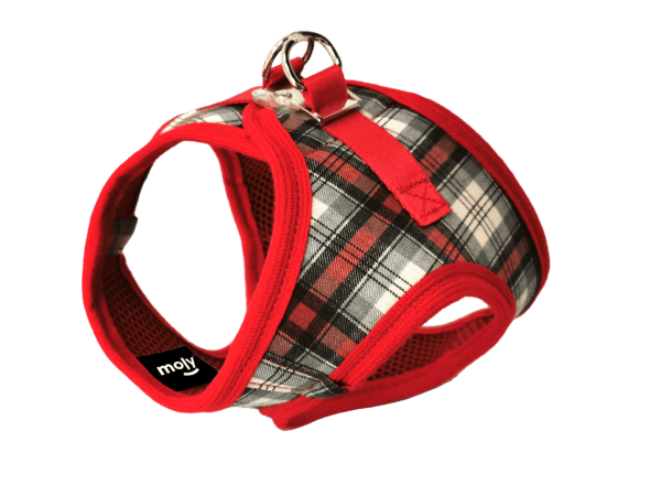 import placeholder for 679