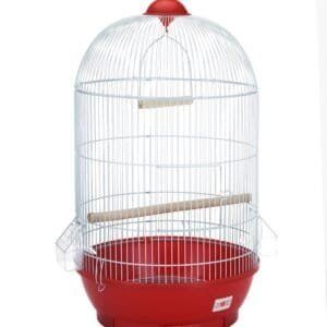 import placeholder for 110