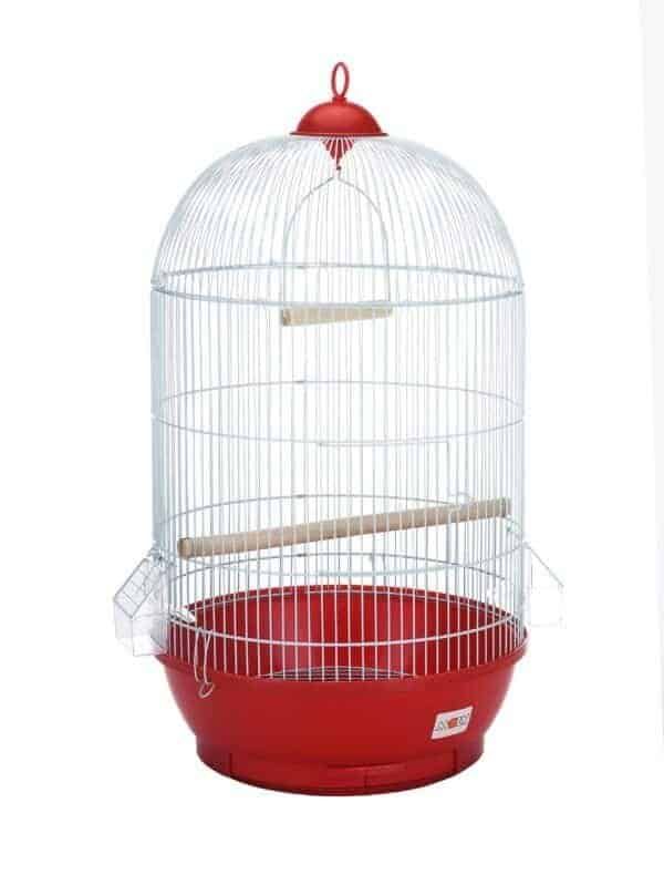 import placeholder for 110