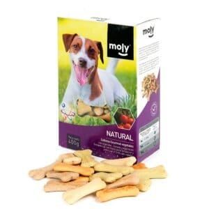Galletas gourmet saludables para perros con vegetales y frutas, 400g, snack natural, fácil de digerir.