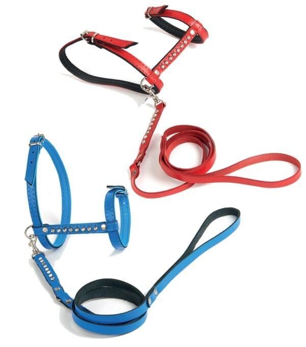 Correa para gatos de lujo en colores rojo, azul y negro con brillantinas para mascotas.