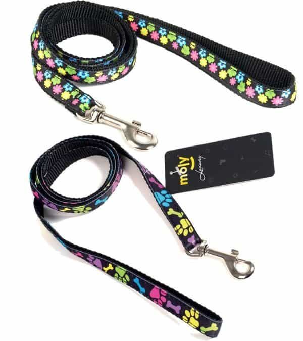 Correa de paseo para perros con diseño de huesos en colores brillantes, resistente y ajustable. Ideal para mascotas pequeñas y medianas.
