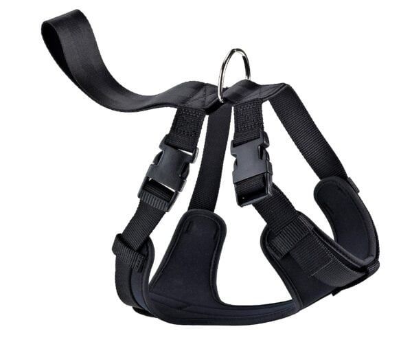 import placeholder for 1009