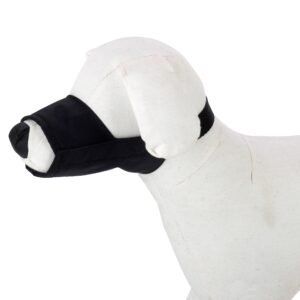 import placeholder for 910