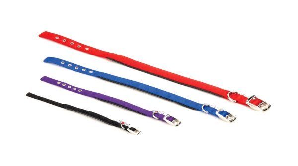 collar nylon confort 35 55cm x 2cm