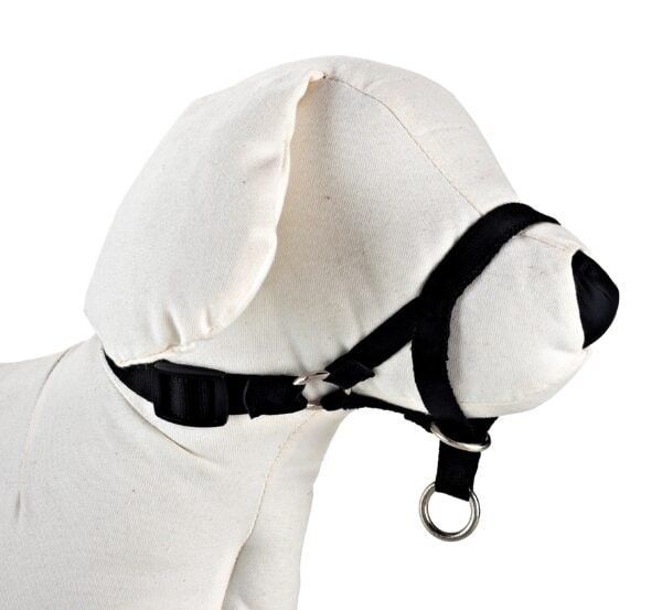 dog control n.4 38cm