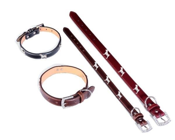 import placeholder for 801