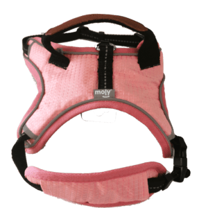 arnes blue/pink confort moly talla s