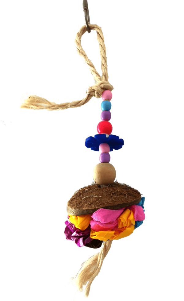import placeholder for 620