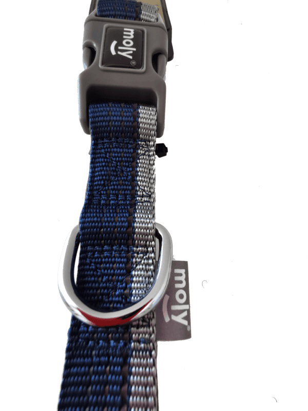 ramal moly confort con nylon reflectivo 2.0*120