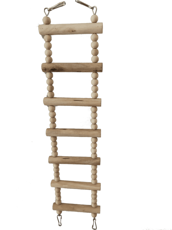 import placeholder for 614