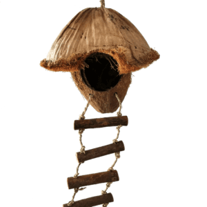 import placeholder for 611
