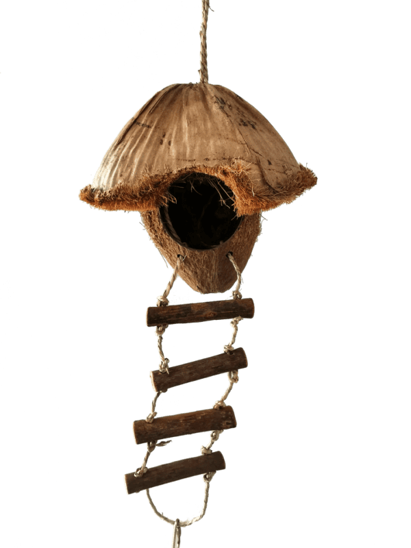 import placeholder for 611