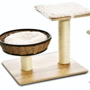 import placeholder for 529