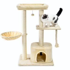 import placeholder for 528