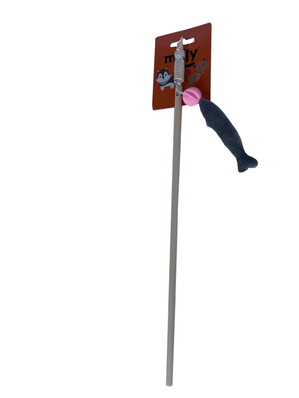 import placeholder for 520