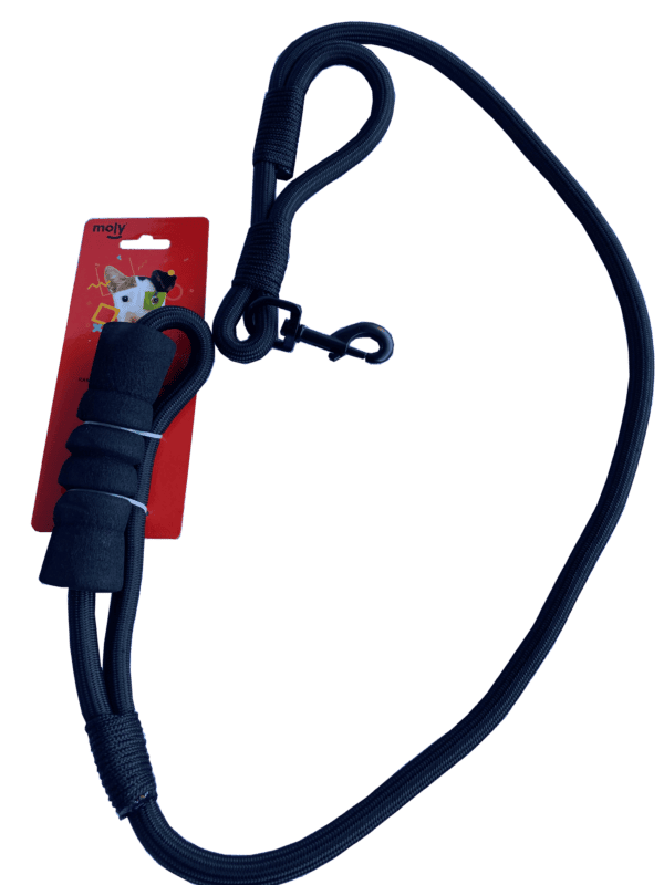 import placeholder for 516