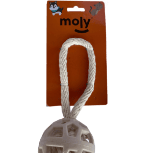 import placeholder for 510