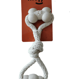 import placeholder for 509