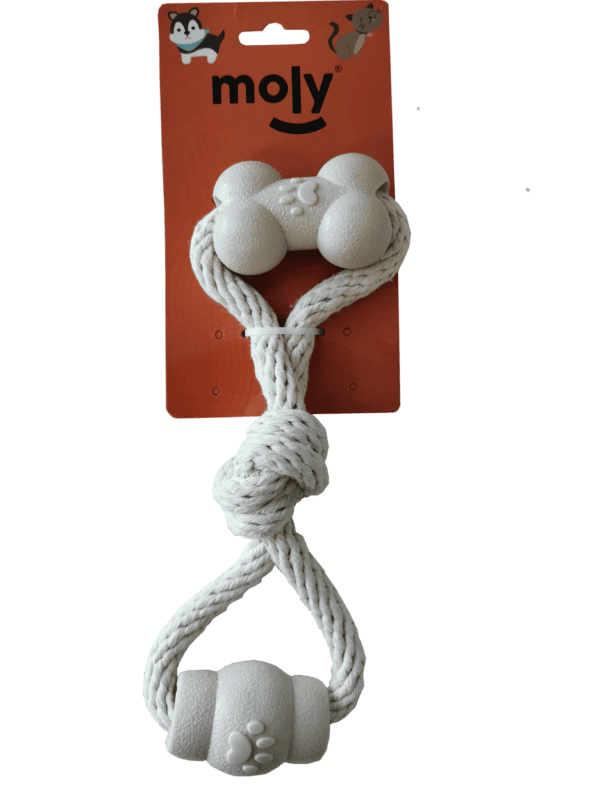 import placeholder for 509