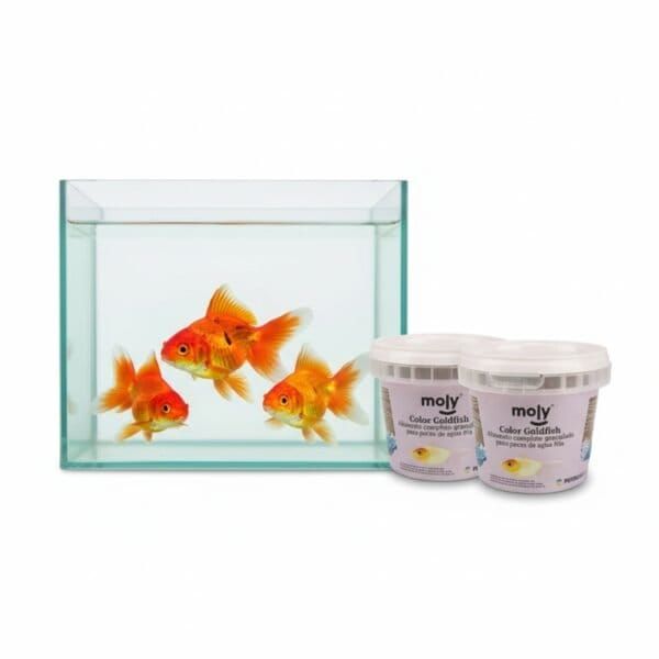 moly goldfish color granulado 75 grms /365 ml