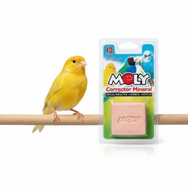moly calcio pajaros 100 gr