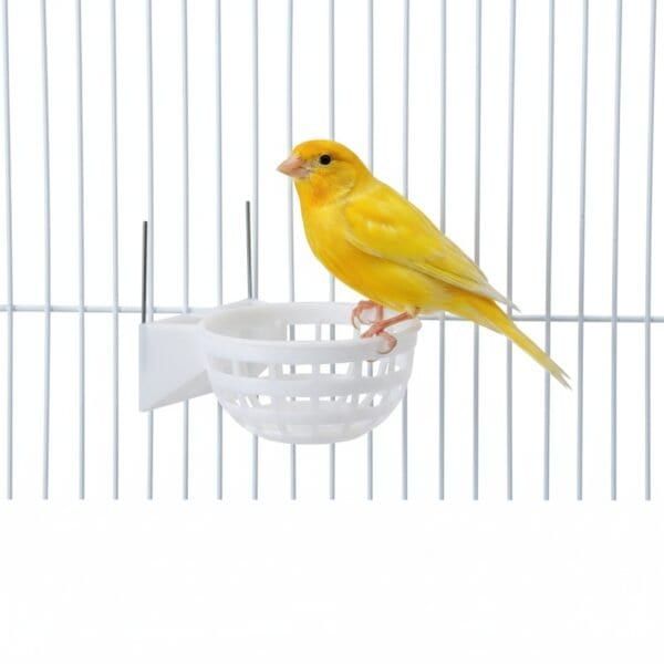 collar dfv insecticida