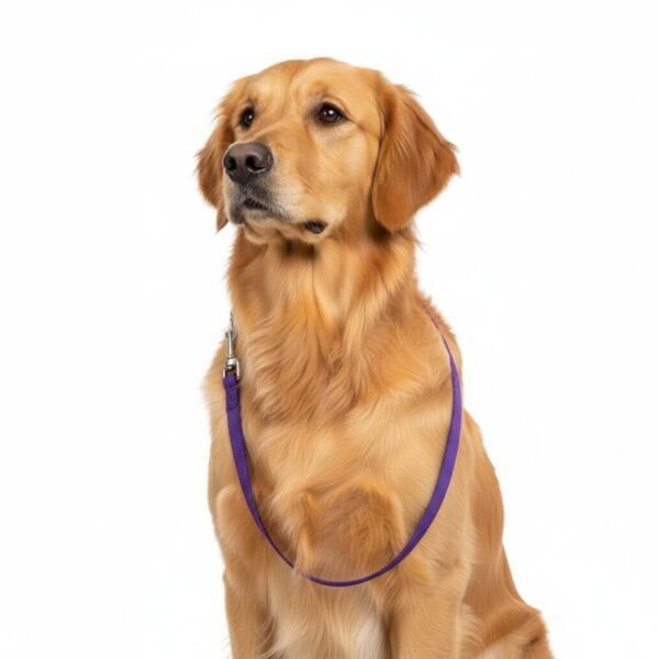 ramal nylon liso 120cm x 1cm