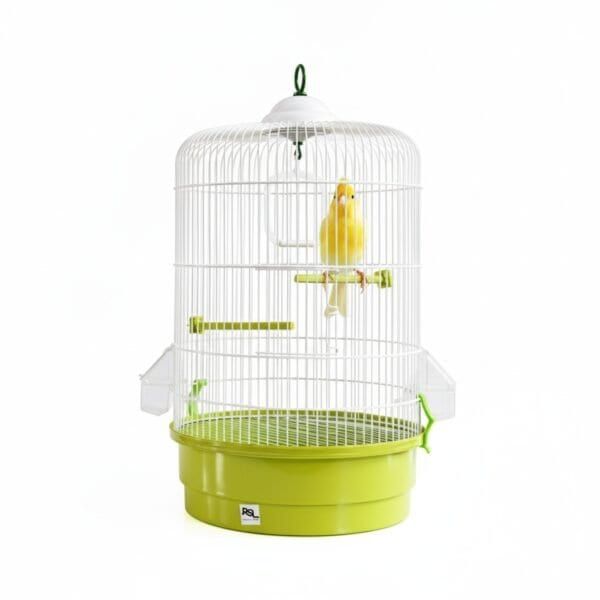 juguete tpr eco 26 cm doble forma ergo