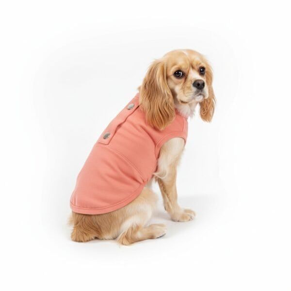 chaleco moly salmon t xxs
