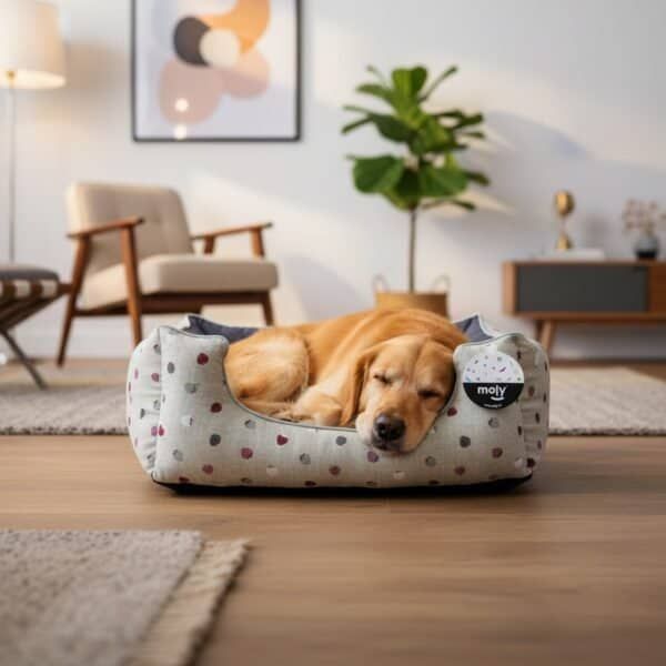 set 4 ruedas para transportínes de perro gulliver iata giratorias