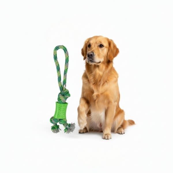 lanzador mordedor green 35 cm moly | juguete resistente para perros activos