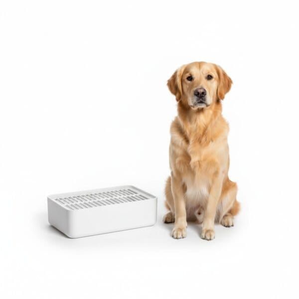 comedero universal con rejilla 20x6x4h 5 unit