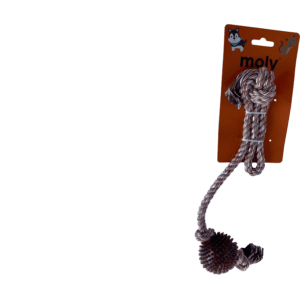 import placeholder for 508