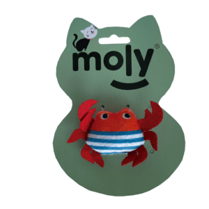 import placeholder for 505