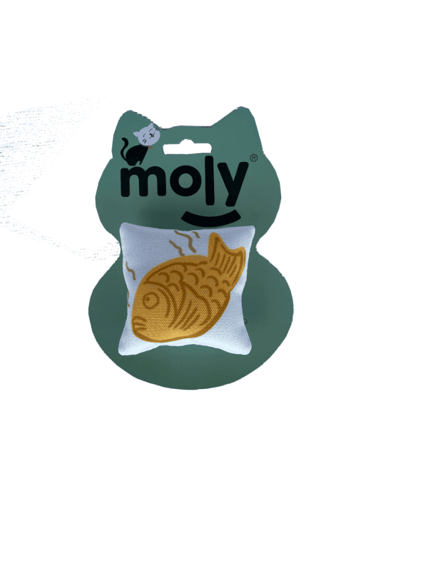 import placeholder for 504