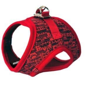 import placeholder for 600