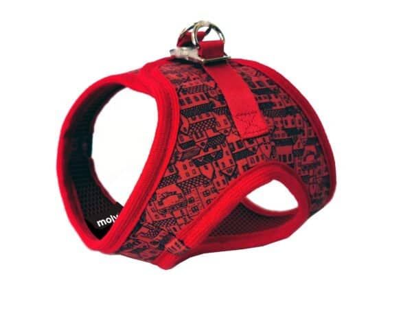 import placeholder for 600
