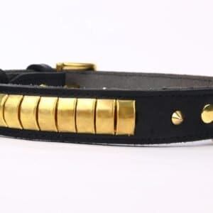 Collar de piel negro con detalles en dorado para mascotas de lujo, resistente y elegante.