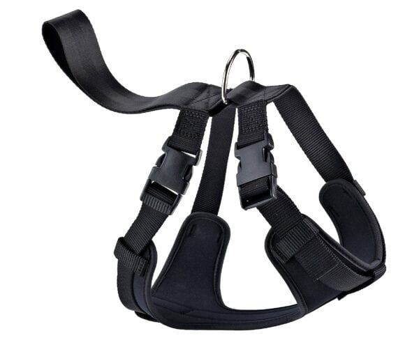 arnes nylon seguridad paseo g