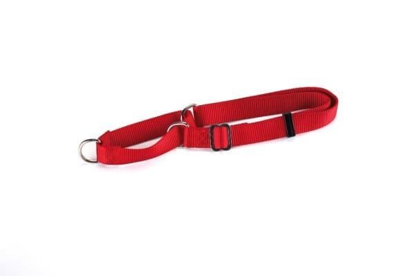 collar nylon adiestramiento 85x2.5 cm