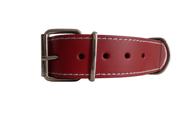 collar cuero doble 65 x 4 cm