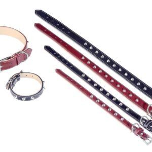 collar cuero forniture 1.5x35 cm