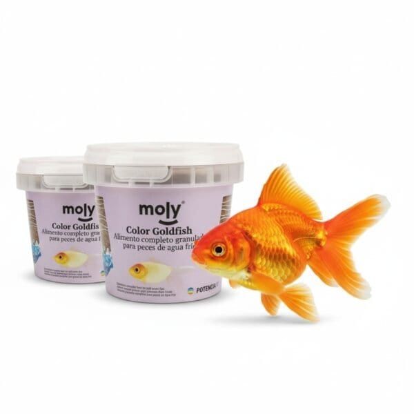 moly goldfish color granulado 75 grms /365 ml